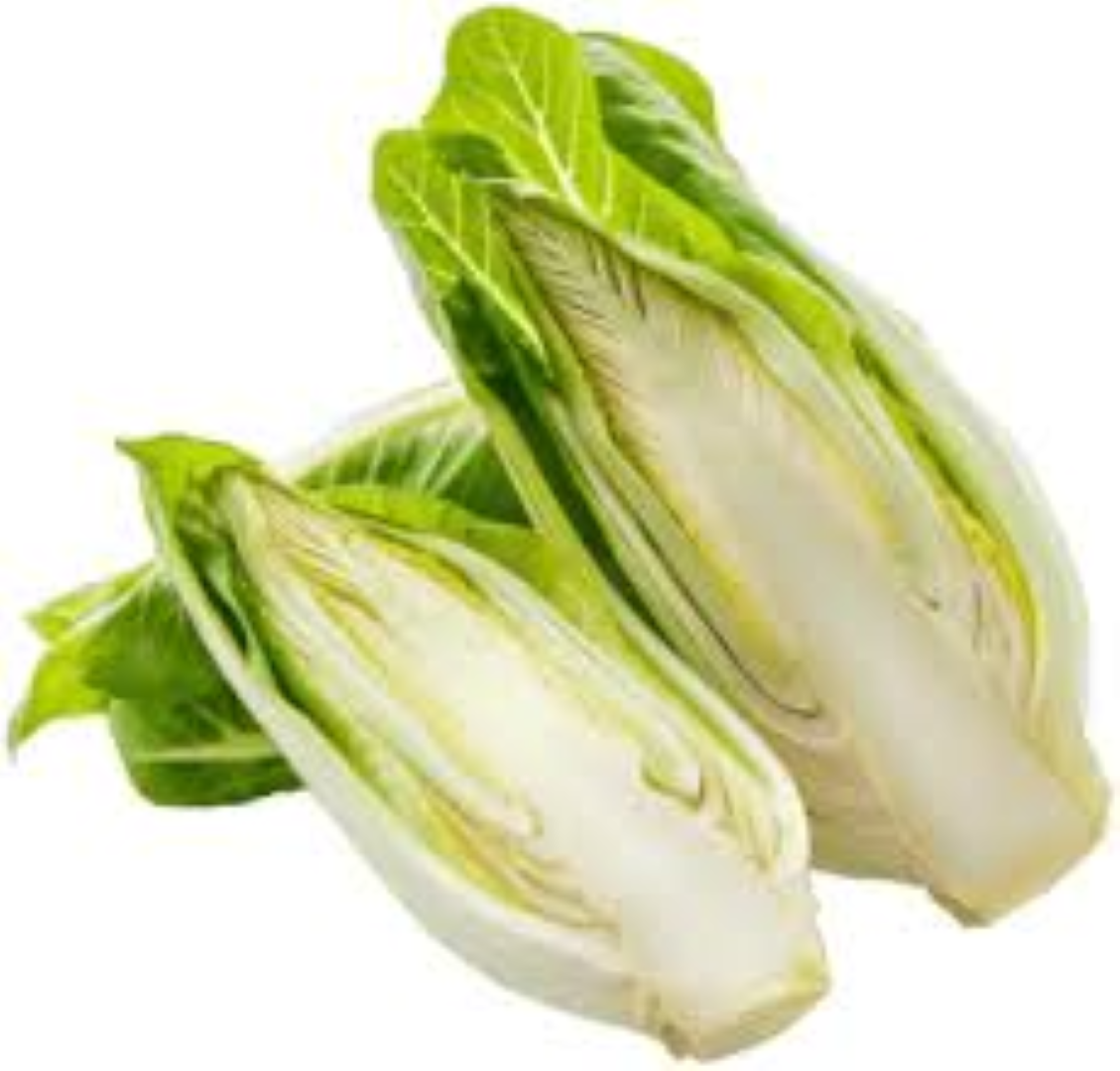 FRESH CHICORY